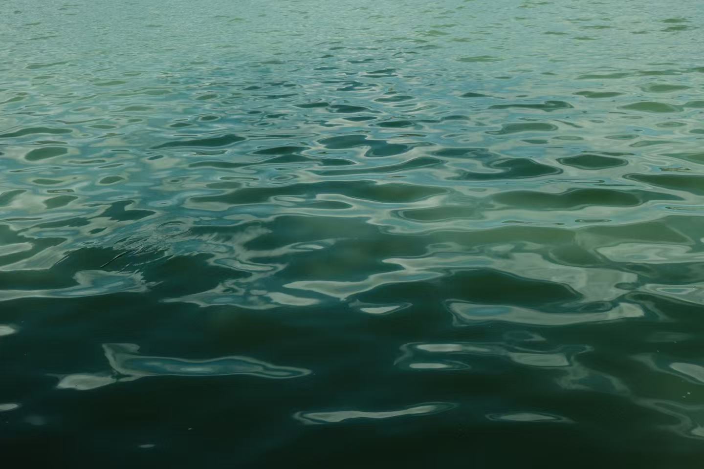 EUCam Sample Photo 6